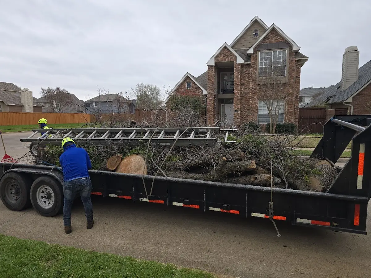 Expert Tree Fertilization with proper safety equipment in Wahkiacus